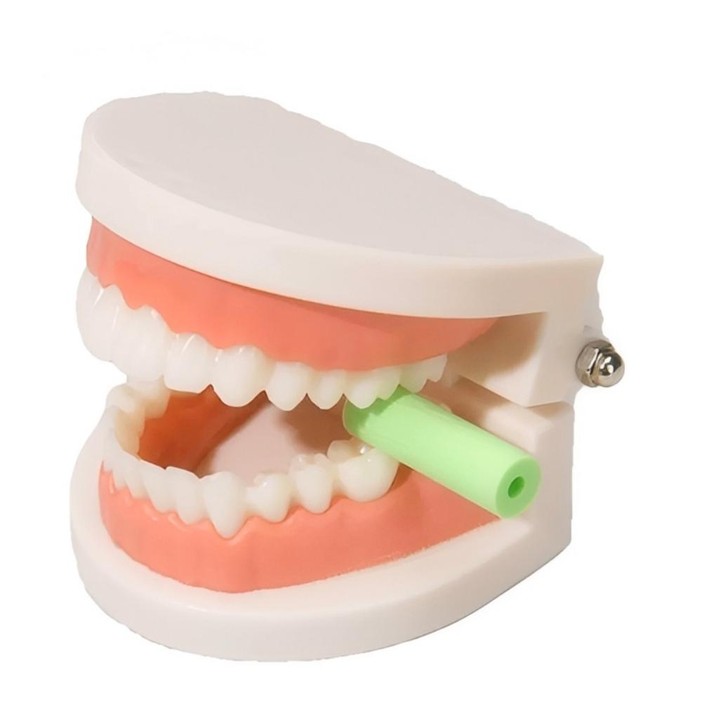  3Pcs/Set Fruit Flavor Dental - Alignment Stick Set ulasan dan harga